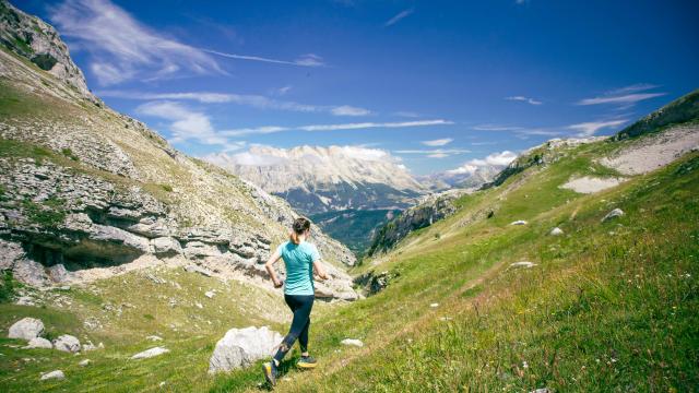 Ete_activites_Trail_Vallon-de-Charnier-©OT-Le-Devoluy-09-07-2021_BD-4.jpg