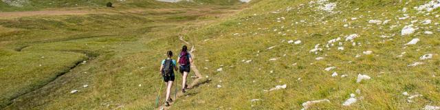 Ete_paysages_Vallon-des-Aiguilles-©OT-Le-Devoluy-13-08-2021-11.jpg