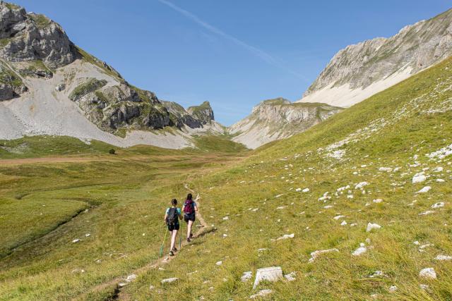 Ete_paysages_Vallon-des-Aiguilles-©OT-Le-Devoluy-13-08-2021-11.jpg