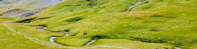 Ete_paysages_Vallon-des-Aiguilles_figurants-©OT-Le-Devoluy-13-08-2021_drone_8.jpg