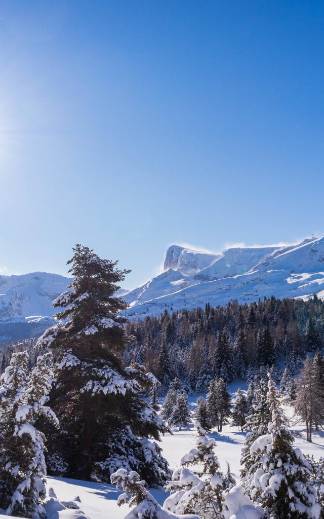 Winterlandschappen Domaine Nordique ©otdévoluy 24 01 2021