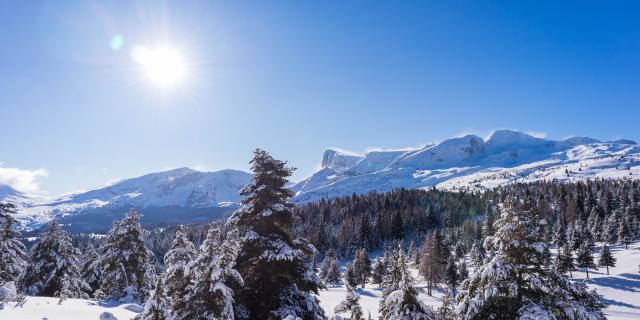 Hiver Paysages Domaine Nordique ©otdévoluy 24 01 2021