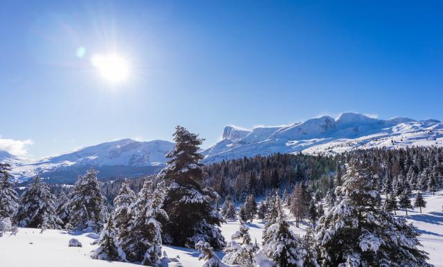 Winterlandschappen Domaine Nordique ©otdévoluy 24 01 2021