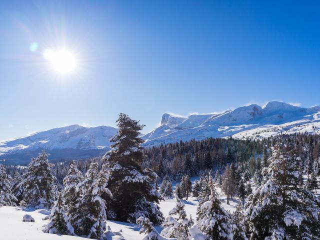 Hiver Paysages Domaine Nordique ©otdévoluy 24 01 2021