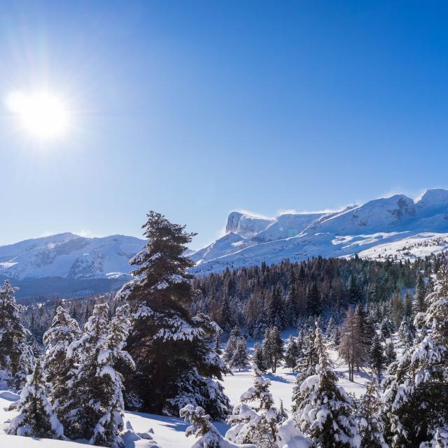 Hiver_Paysages_domaine-nordique-©OTDevoluy-24-01-2021.jpg