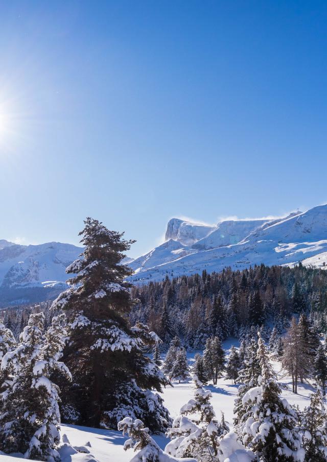 Hiver Paysages Domaine Nordique ©otdévoluy 24 01 2021