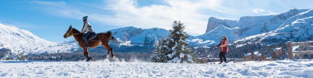 Winter_activities_ski joëring_©Arzur Michaël Photography_use 2021-2026_BD (3)