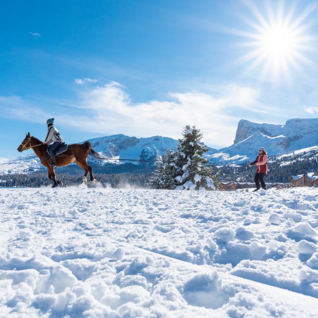 Winter_activiteiten_ski joëring_©Arzur Michaël Fotografie_gebruik 2021-2026_BD (3)