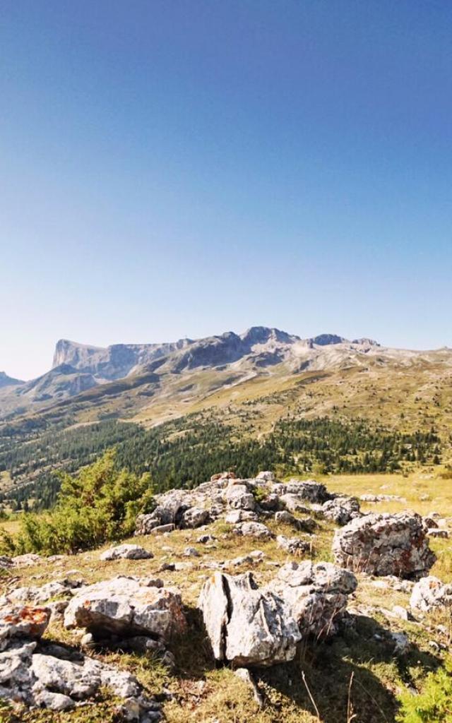 Crête Des Beaumes Collet Du Tât ©marionlevaillant