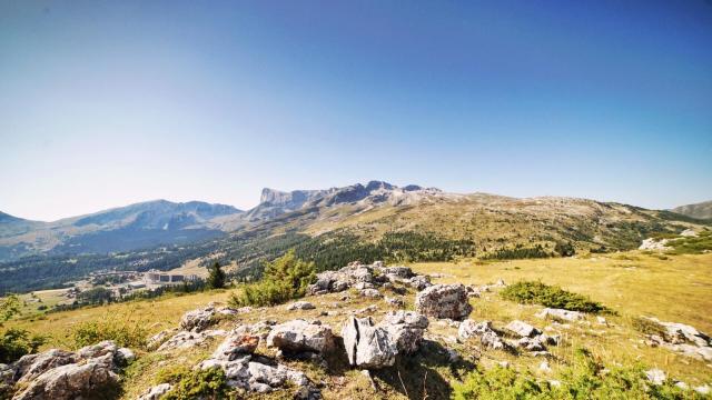 Summer_landscape_Crête des beaumes_Collet du Tât_09-08-2020_©MarionLevaillant (20)