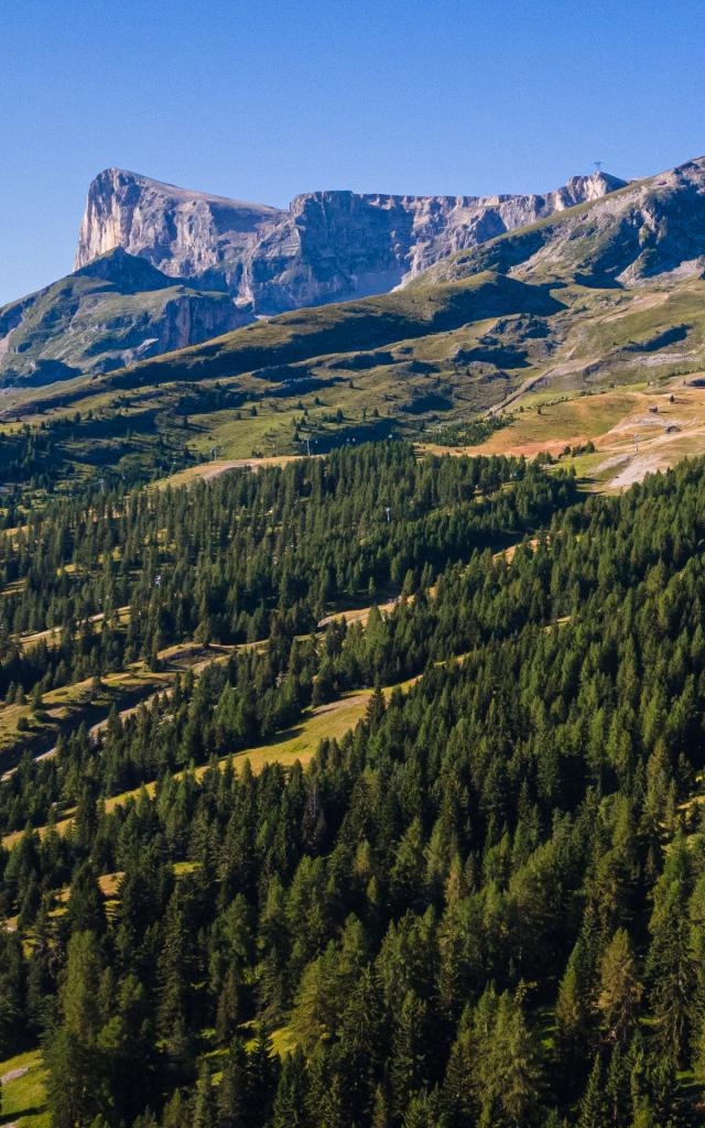 Summer_landscapes_Collet du Tât_Crête des Baumes ©OT Le Dévoluy 29 07 2021_drone-4