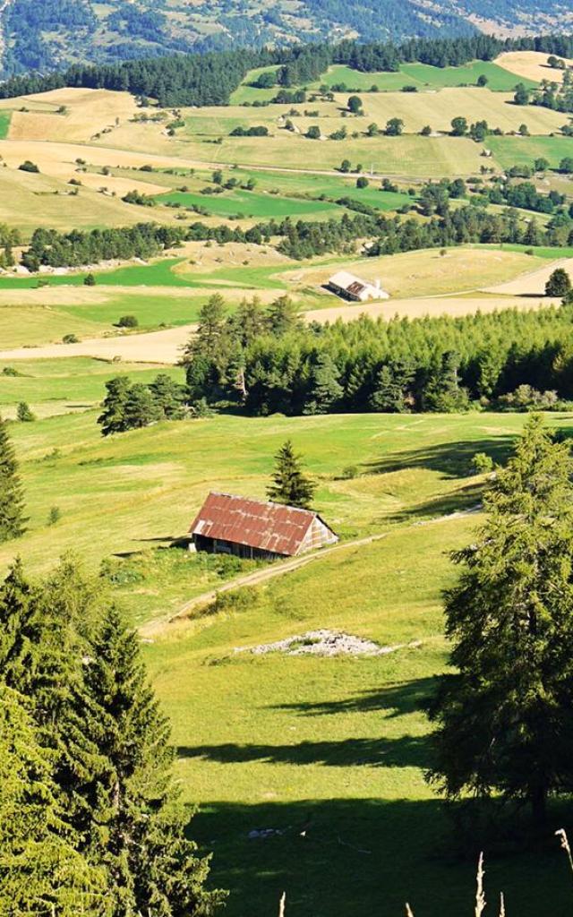 Summer_landscape_Crête des beaumes_Collet du Tât_09-08-2020_©MarionLevaillant (15)