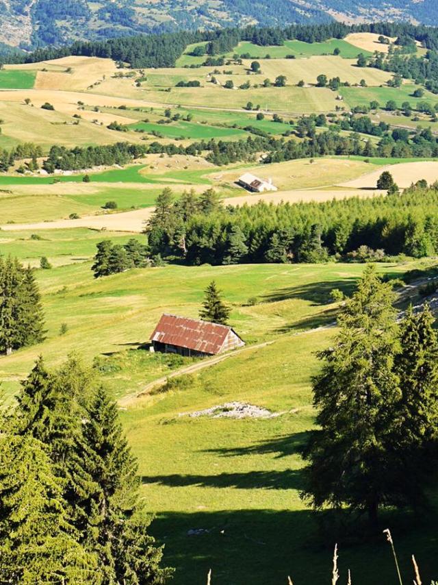 Eté Paysage Crête Des Beaumes Collet Du Tât 09 08 2020 ©marionlevaillant (15)