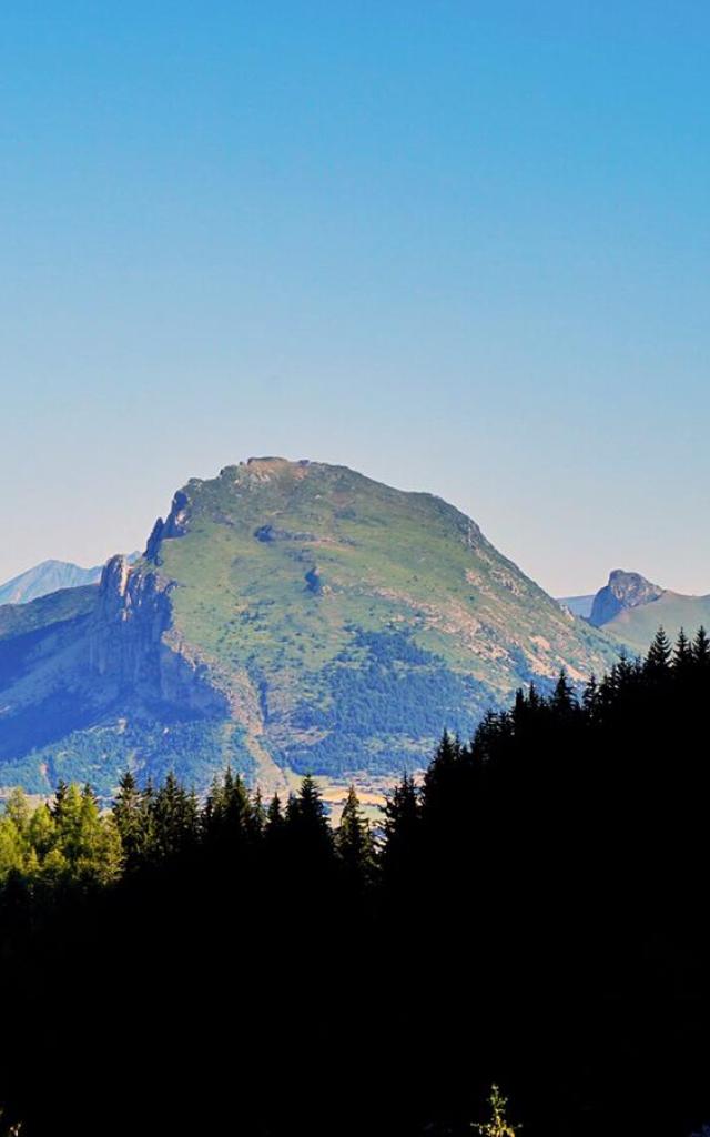 Summer_landscape_Crête des beaumes_Collet du Tât_09-08-2020_©MarionLevaillant (17)