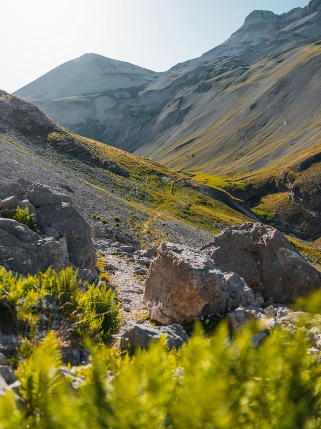 Ete_paysages_Col-de-Charnier-15-06-2022_©OTDevoluy-12_BD.jpg