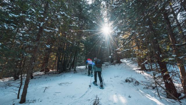 Winter Snowshoeing Activities Au Vallon Dane Ot Le Devoluy 03 03 2023 15