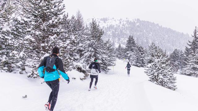 Evenements Hiver Devolice Trail 2022 Ot Le Devoluy