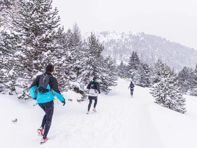 Evenements Hiver Devolice Trail 2022 Ot Le Devoluy