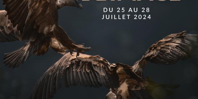 Affiche Festival De Limage 2024