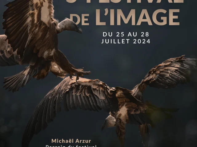 Affiche Festival De Limage 2024