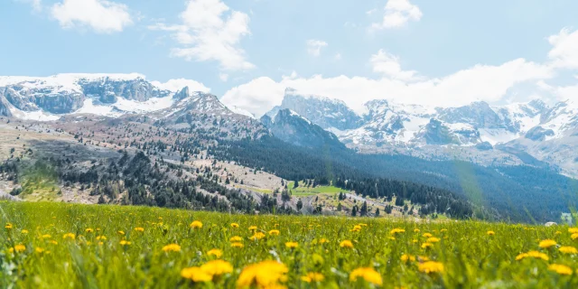 Printemps Paysages Vallon Froid Bure Ot Le Devoluy