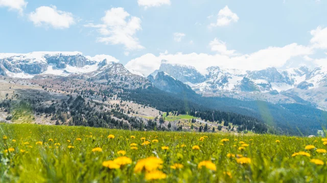 Printemps Paysages Vallon Froid Bure Ot Le Devoluy