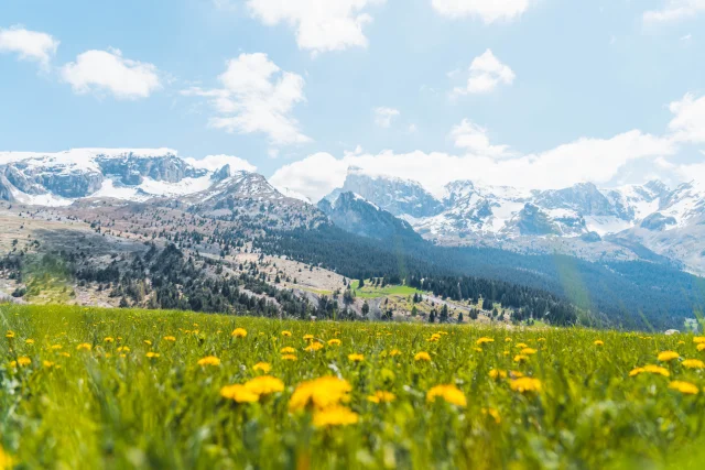 Printemps Paysages Vallon Froid Bure Ot Le Devoluy