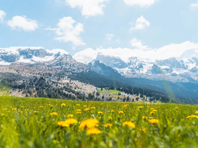 Printemps Paysages Vallon Froid Bure Ot Le Devoluy