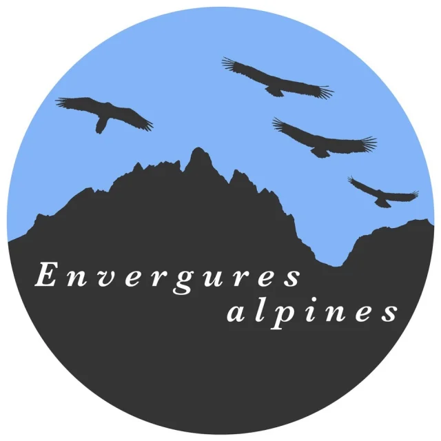 Logo Envergure Alpine