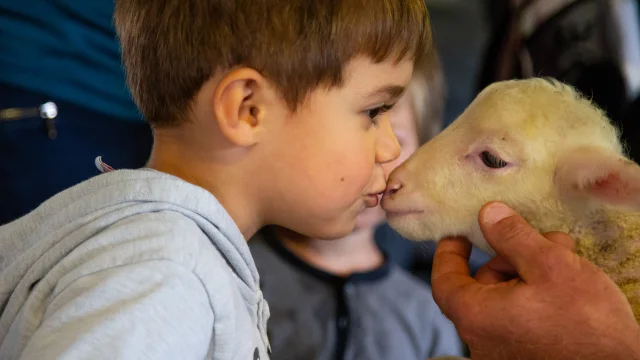 Zenagritude2019 Flouka Visite De Ferme Kinaphoto 5